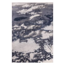 Modro-sivý koberec 290x200 cm Aurora - Asiatic Carpets (Koberce)