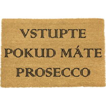 Rohožka z prírodného kokosového vlákna ARTS Doormats Vstúpte, 40 x 60 cm (Rohožky)
