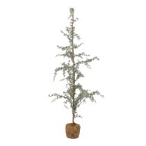 Umelý vianočný stromček výška 150 cm Vita – Bloomingville (Vianočné umelé stromčeky)