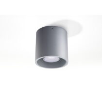 Sivé stropné svietidlo Nice Lamps Roda (Bodové svietidlá)