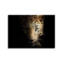Sklenený obraz 100x70 cm Leopard - Styler (Obrazy)