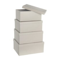 Kartónové úložné boxy v súprave 10 ks s vekom Greige – Casa Selección (Úložné boxy)